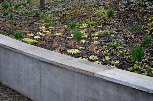 Concrete Wall Construction in Roanoke