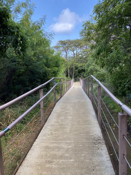Footpath Construction in Roanoke